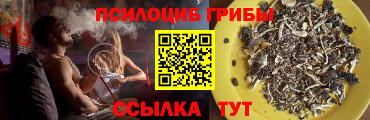 Галлюциногенные грибы прущие грибы Касимов